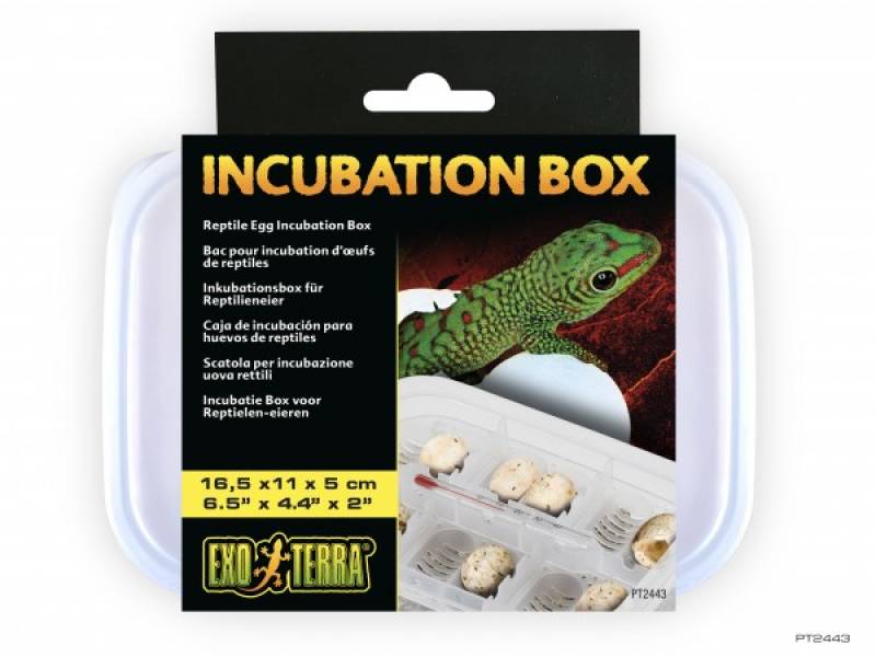 Inkubationsbox für Reptilieneier